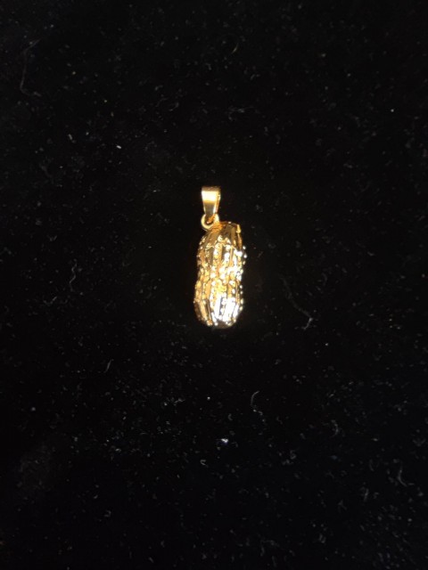Feng shui talisman for wealth and abundance - gold-plated peanut pendant